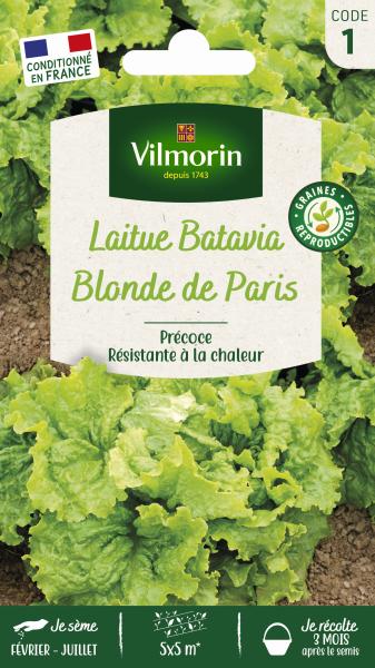 Potagères - Laitue Batavia Blonde de Paris - PACKAGING_RECTO